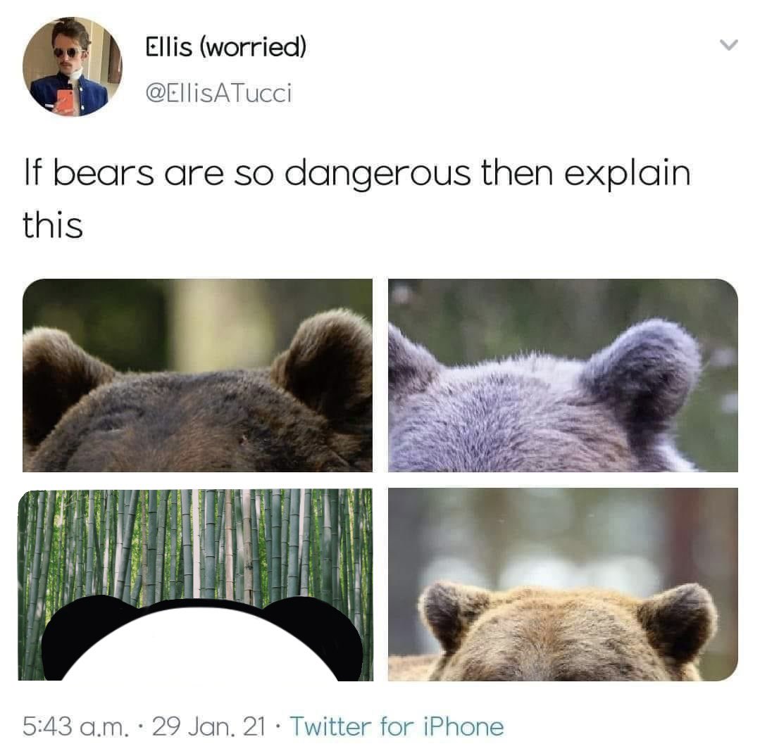 Beary 🐼 (@drinkbeary) / Posts / X