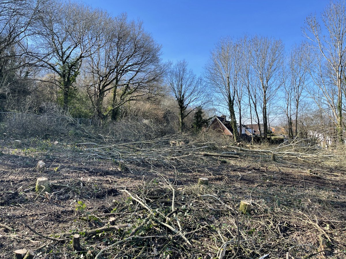MWiles81's tweet photo. Phase 1 Clearance work coming to a close at our Guildford site https://t.co/d2vmbtsnwX