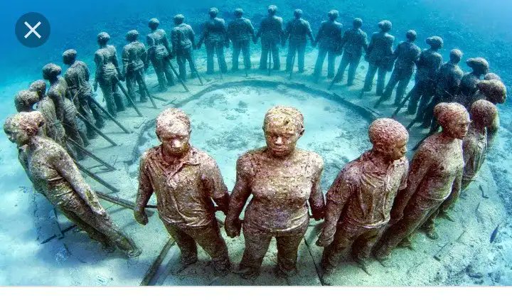 Are found in the sea