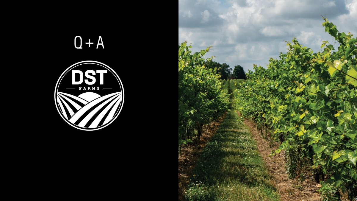 dst_farms's tweet photo. Q: What if the taxpayer cannot identify any replacement property within 45 days?

A: Unfortunately, there are no extensions available. If the taxpayer does not meet the time limits, the exchange will fail and they will have to pay any taxes arising from the sale. #DSTFarms https://t.co/vaVoYMaNBs