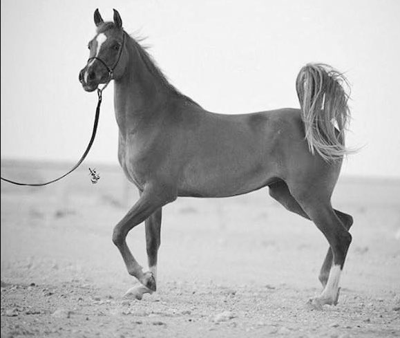 🤍IȷLɹɹɹ ❥‏ ♩ tweet media