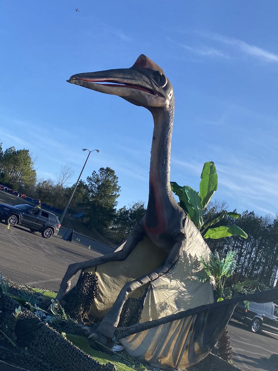 Late Sunday Fun Day post. My baby really enjoyed this drive thru dinosaur event!💙🦖🦕