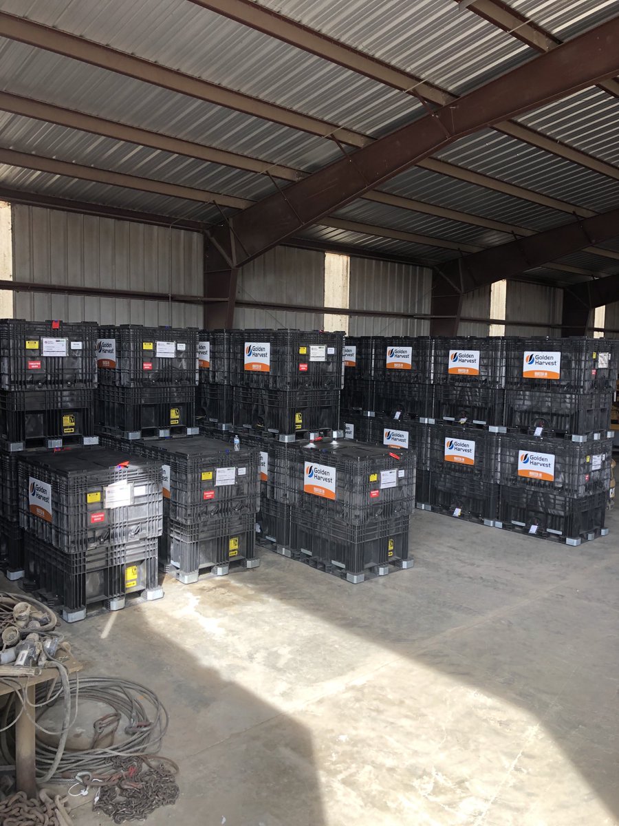 First two semi loads ⁦<a href="/GldnHarvest/">Golden Harvest Seeds</a>⁩ of corn went out to customers from the Seed Mill in Bridgewater today. Thanks ⁦<a href="/farmerhutch/">Mark Gross</a>⁩ and ⁦@Arthurmueller⁩ for all your hard work!