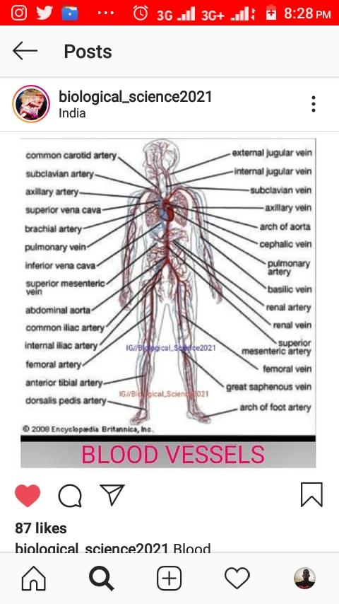 Trying to refresh my memory