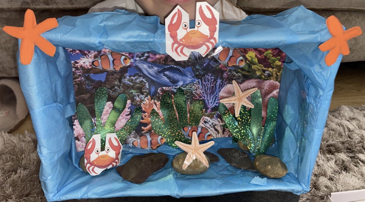 1987_hasler's tweet photo. @HeathSomers @SHPS_Year2 hallie enjoyed making her under the sea habitat for homework this weekend! https://t.co/IKg3pPjV5b