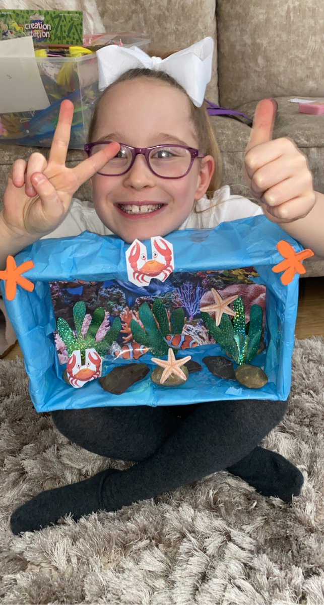 1987_hasler's tweet photo. @HeathSomers @SHPS_Year2 hallie enjoyed making her under the sea habitat for homework this weekend! https://t.co/IKg3pPjV5b