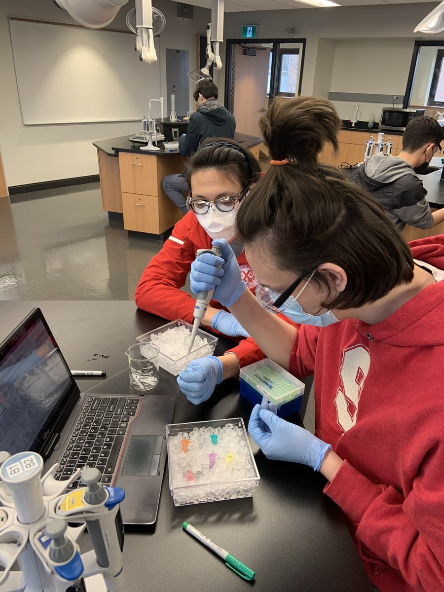 standrews1899's tweet photo. Biology students are working on a three part DNA fingerprinting lab. First they created their own agarose gels for electrophoresis and then amplified their DNA using PCR. Keeping the DNA samples on ice prevents enzymes from activating before they’re ready. #SACscience #boysofSAC https://t.co/Q3UvOgxsgW