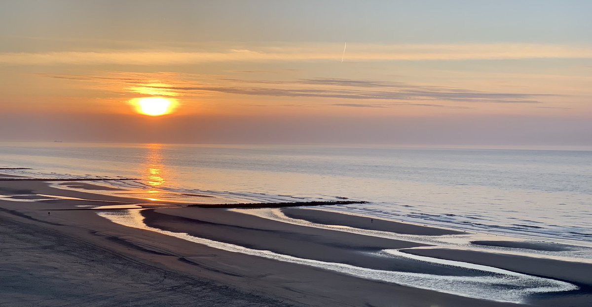 Johan Verstreken tweet media