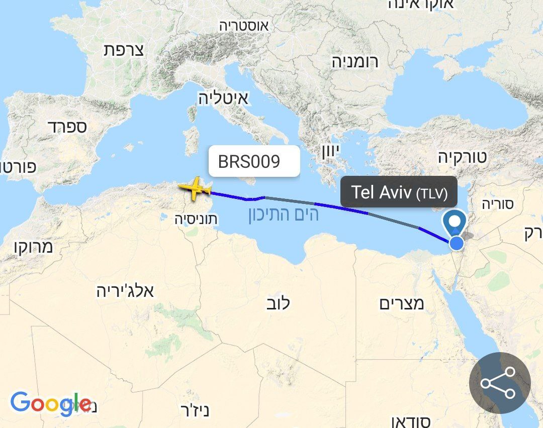 שמעון ארן شمعون آران tweet media