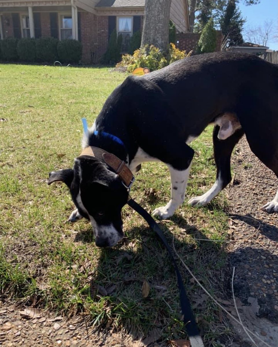 Susie Davis tweet media