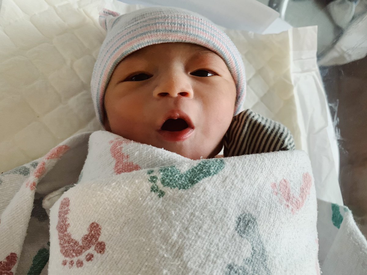 donnav0_o's tweet photo. i made this human 🥰 https://t.co/u84IfXAX3j