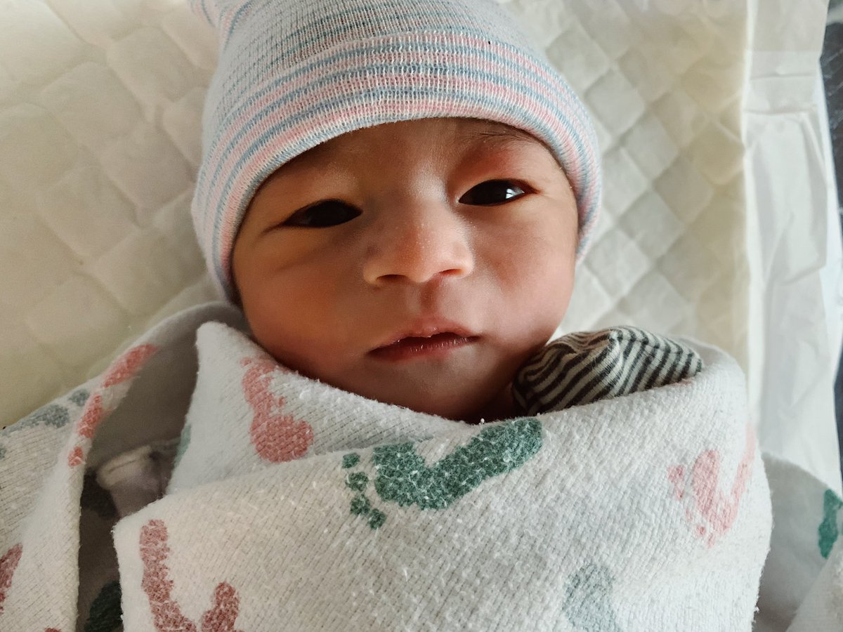 donnav0_o's tweet photo. i made this human 🥰 https://t.co/u84IfXAX3j