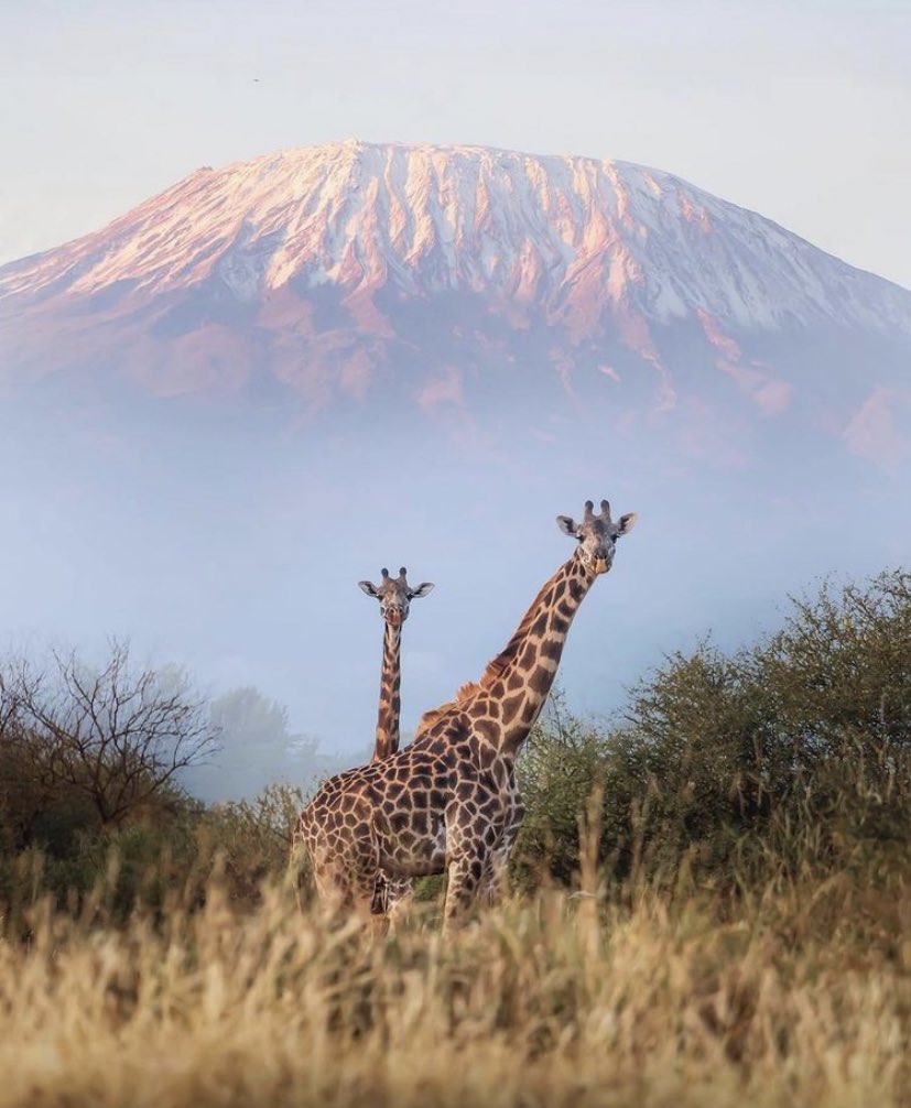ScribeFlash's tweet photo. La beauté du Kenya 🇰🇪 https://t.co/YfuWo2vVpN