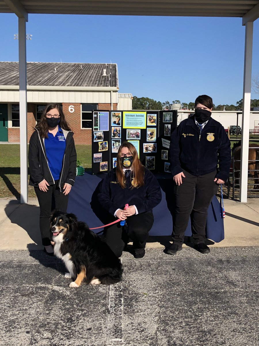 bunnellffa's tweet photo. Come see our members, Itty Bitty and Bailey @fpchs Drive Thru event tonight! #bunnellsrffa #veterinaryassisting #fpcprogramofstudies #classroomtocareers #whyfpc @FPC_CTE @FlaglerCTE https://t.co/wSUpxS7oVk