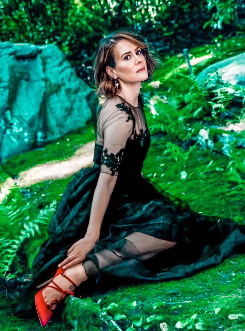 stansarahp's tweet photo. YOU are in love with Sarah Paulson https://t.co/kGYY9AD1Pw
