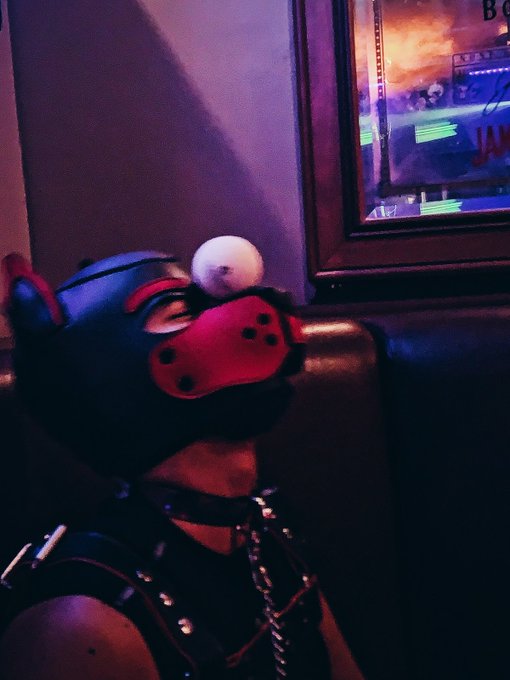 Catches ze bol~ #pupplay #petplay #puppyplay #bdsm #kink #fetish https://t.co/Oe5Ay7nDSE