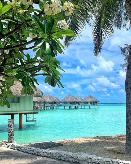 Bora Bora c’est vraiment un rêve