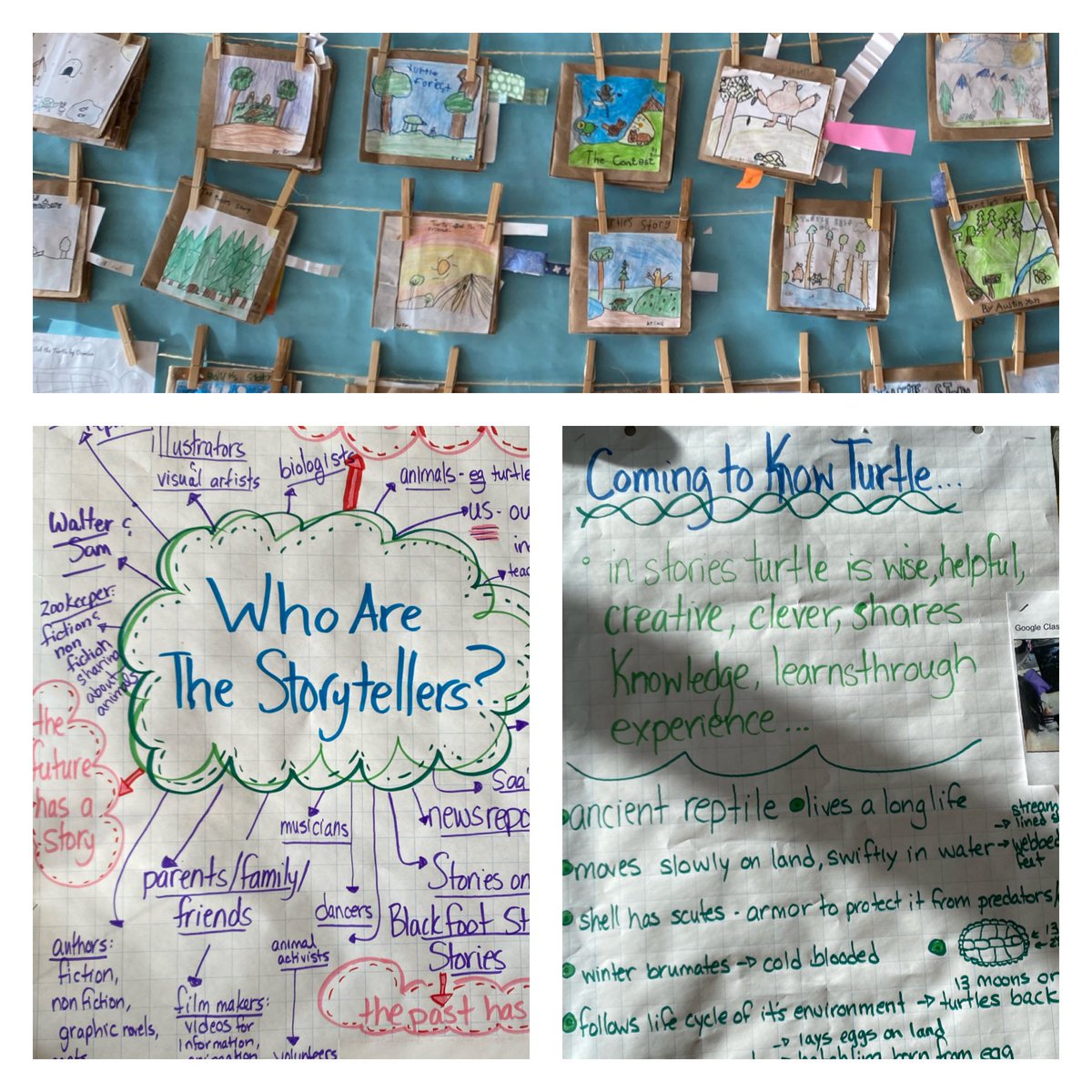 Loriholford's tweet photo. Turtle stories in grade 3. Rich engaging writing that shows tremendous growth for students since the beginning of the year #EdgemontStory #Literacy @EdgemontCBE @EdgemontMsR https://t.co/8E2FaUsPwW