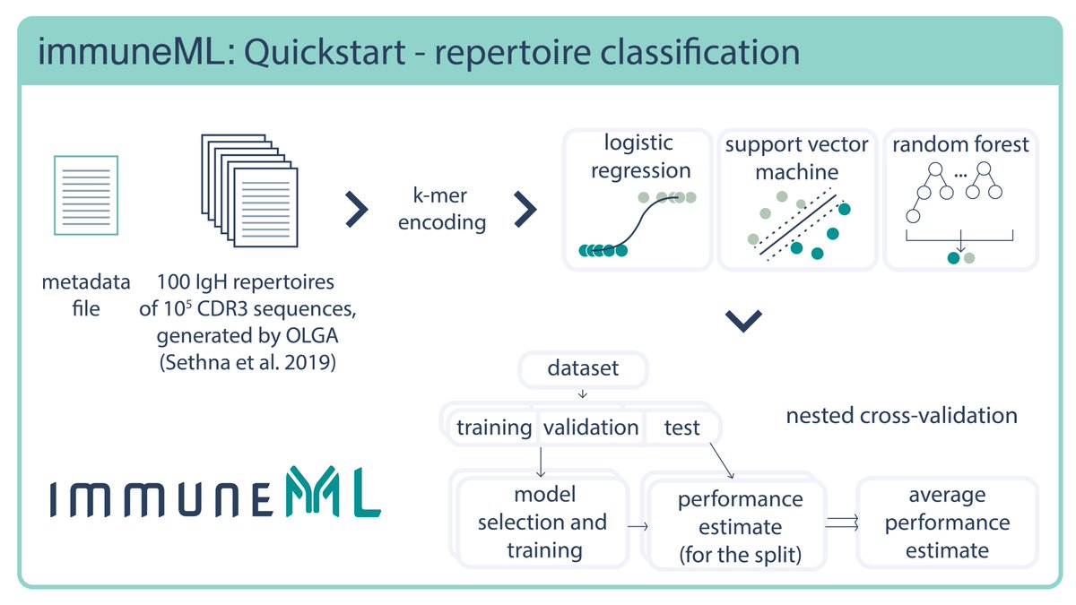 immuneML can be used by immunologists without a machine learning background, as well as bioinformaticians and machine learning researchers who want to develop and test new methodologies. Quickstart tutorials for different types of users: docs.immuneml.uio.no/quickstart.html 2/10