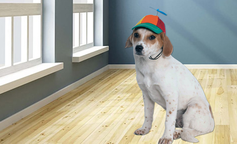 propeller hat dog Welcome to Quality Engineering Products