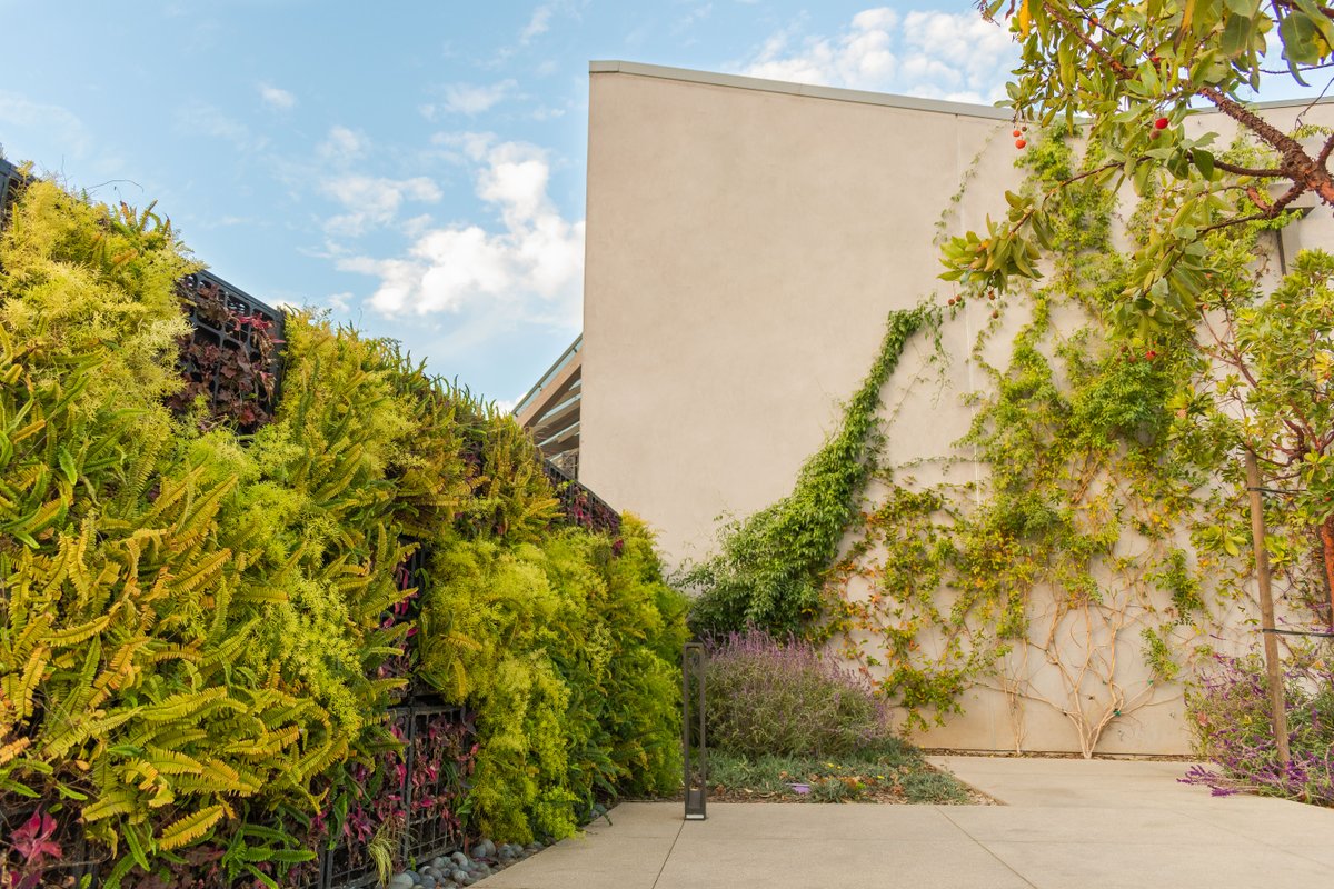 PierreLandscape's tweet photo. Today we're celebrating #TravelTuesday by highlighting a gorgeous project we worked on in #Malibu! Even though traveling looks different right now, there are so many gorgeous places in California that you can visit safely. #GrowWithPierre #PierreLandscape https://t.co/NttaSb7eNS