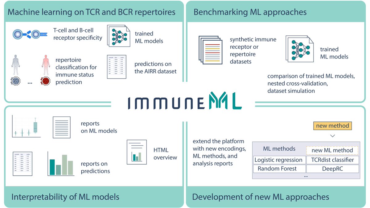 Very happy to finally release immuneML –  an open-source python platform that streamlines development, application, and benchmarking of immune receptor machine learning for predicting immune status or antigen specificity (immuneml.uio.no). biorxiv.org/content/10.110… 1/10