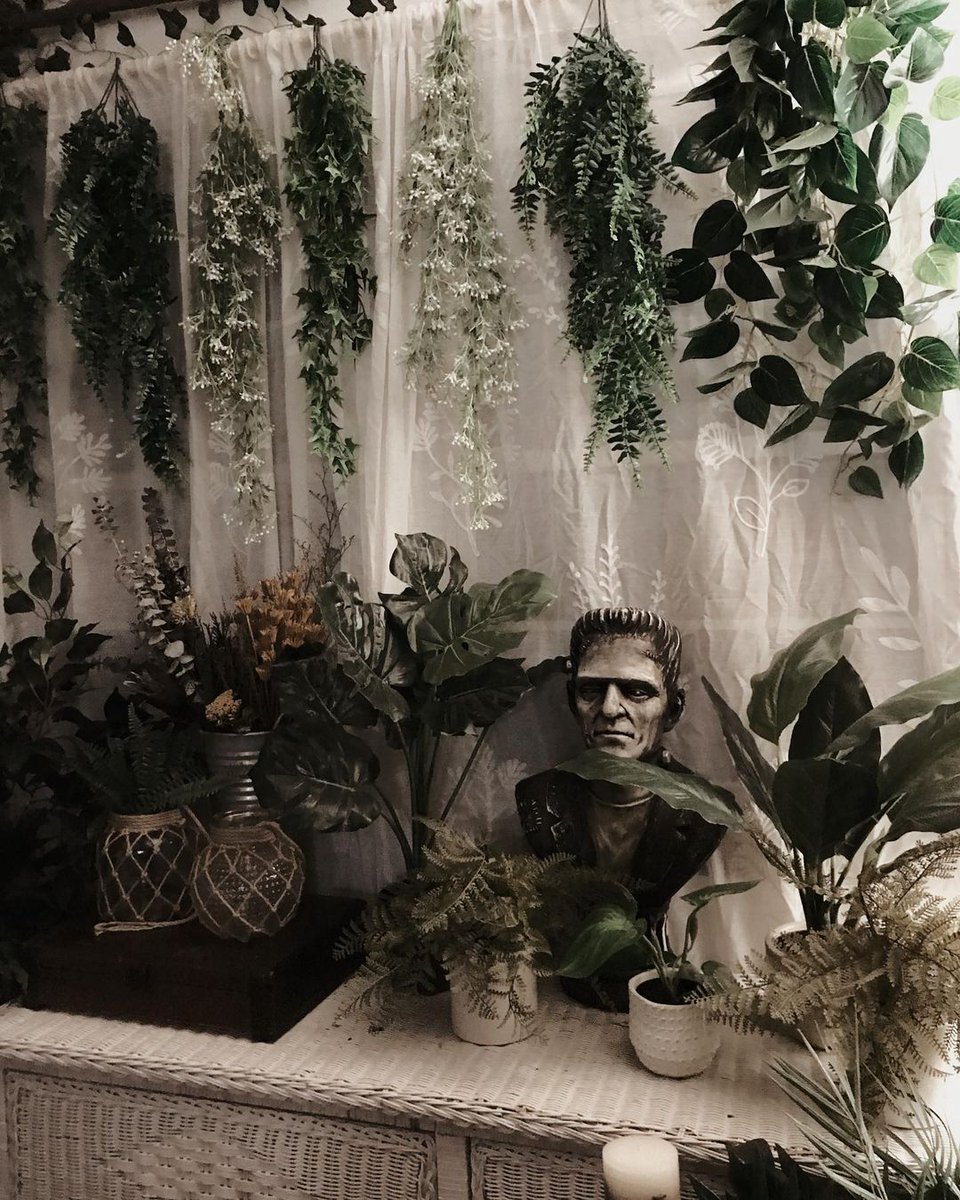 AttitudeCo's tweet photo. Gothic jungle house🖤🐍🌿
📷tayl_or_treat
#attitudeclothing #gothichome #gothicdecor #gothicinteriors #gothichomeware #witcheshome https://t.co/k1sueIxb6N