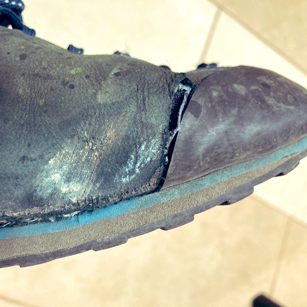 chybee's tweet photo. Lomer. Made in Italy. Stylish and comfortable and fails to function as a pair a shoes. When I questioned its waterproofing I was told it’s sealed but my feet are sweating. Ha https://t.co/so78fu6E4E