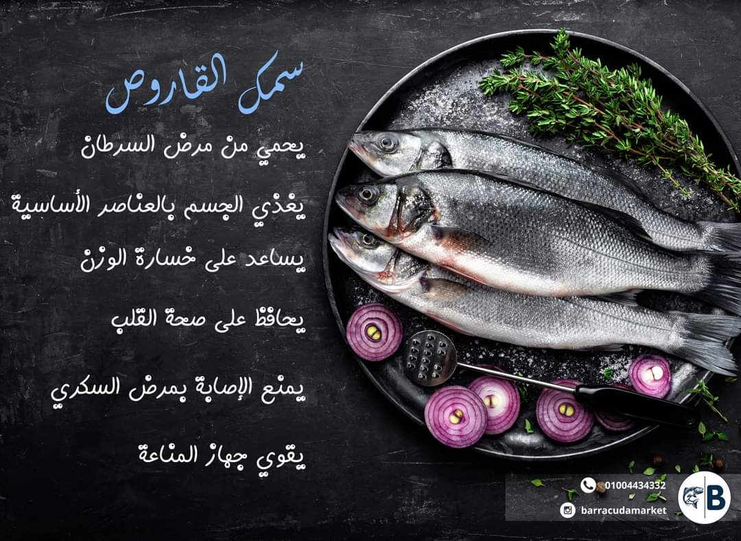 اعرف اكتر عن فوائد سمك القاروص ، وقولولنا ايه احسن طريقة بتحبوه بيها

للطلبات ، برجاء ارسال رسالة على صفحتنا أو على الواتساب او الاتصال على رقم 01004434332
مصاريف التوصيل داخل القاهرة والجيزة 50 جنيه.
#سمك_القاروص
#باراكودا
#السمك_على_اصوله
