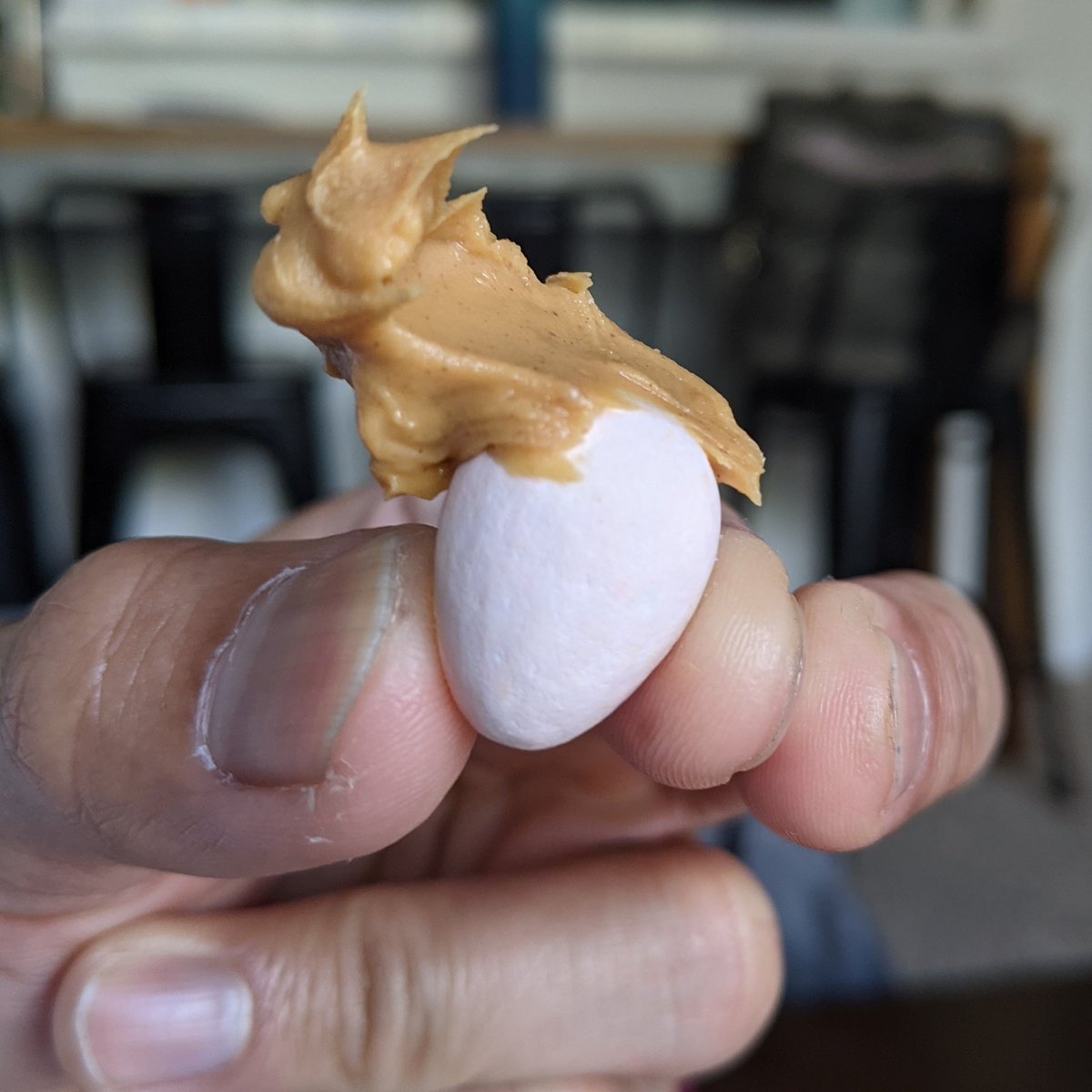 johnbocalig's tweet photo. Here's a cadbury mini egg smeared with a dab of peanut butter. It looks like Conan #conanobrien @TeamCoco @sonamov @MattGourley @ConanOBrien https://t.co/PDWkaMvox5