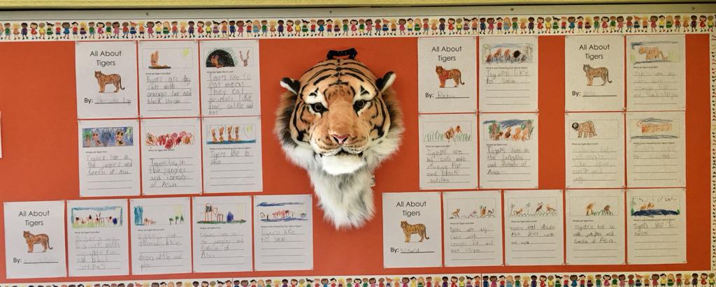 agent1979's tweet photo. Our tiger cubs did an amazing job with their tigers research project!
🐯🐯🐯🐯
#positivelypwcs
#dalecityroars
#kindergartenrocks https://t.co/qd8isuA57W