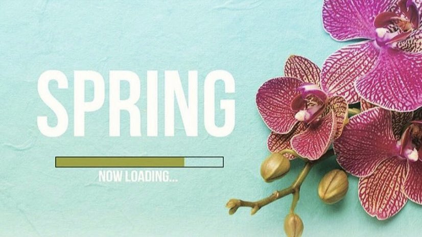 beautifydecatur's tweet image. #Spring2021 #DaysUntilSpring #SpringCountdown