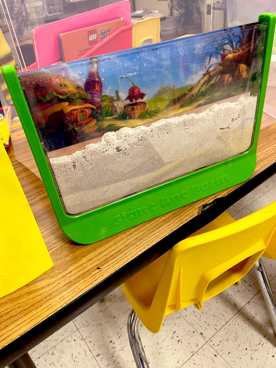 missoneals's tweet photo. Shout out to @valerie27703241 for taking a risk to help put these western harvester ants in our ant farm !!! #STeMPBL @ecwestwildcats @SmithTeaches2 https://t.co/KP7QCigTtA