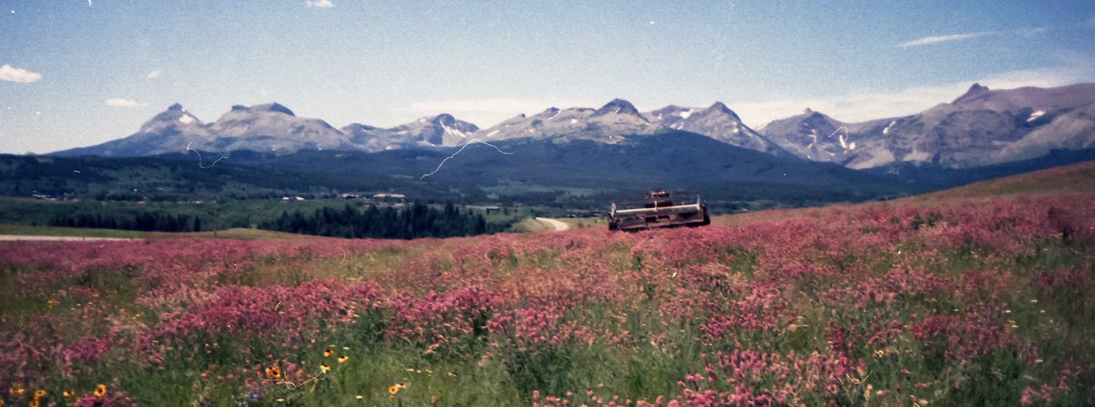 eamonsphotoss's tweet photo. The American west on 35mm https://t.co/wNkXUZgI3h