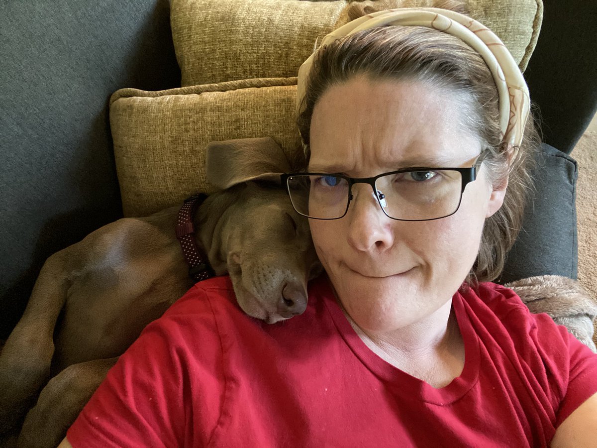 AHShavers's tweet photo. When I was 8 years old I spent a week in the hospital due to an infected dog bite. (Pro tip for ERs: Donโt stitch close an animal bite) Dogs can be skittish and need time adjusting to new environments. Doesnโt mean they arenโt good doggos. #LovesDogs #MajorBiden https://t.co/GkgnLrZ9HT