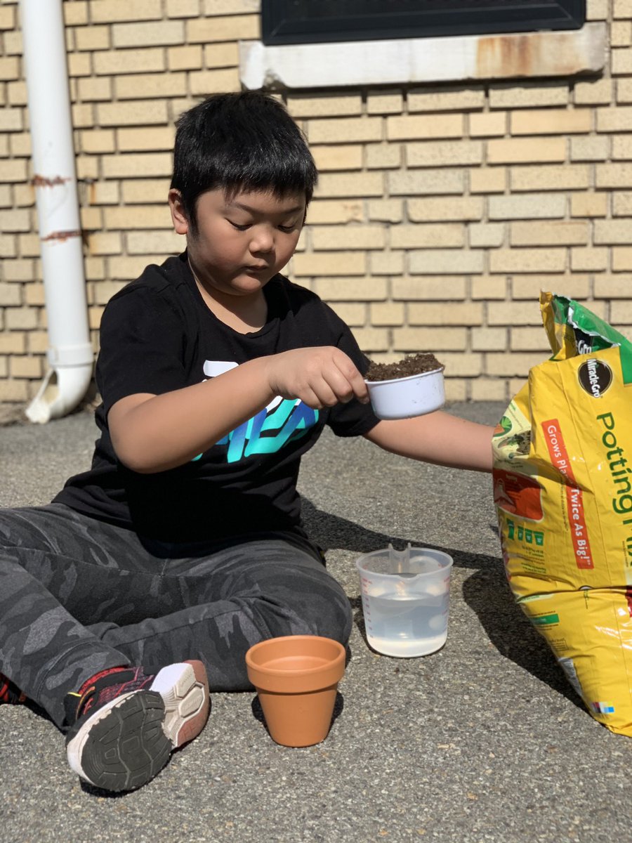 Miss_Capolongo tweet media