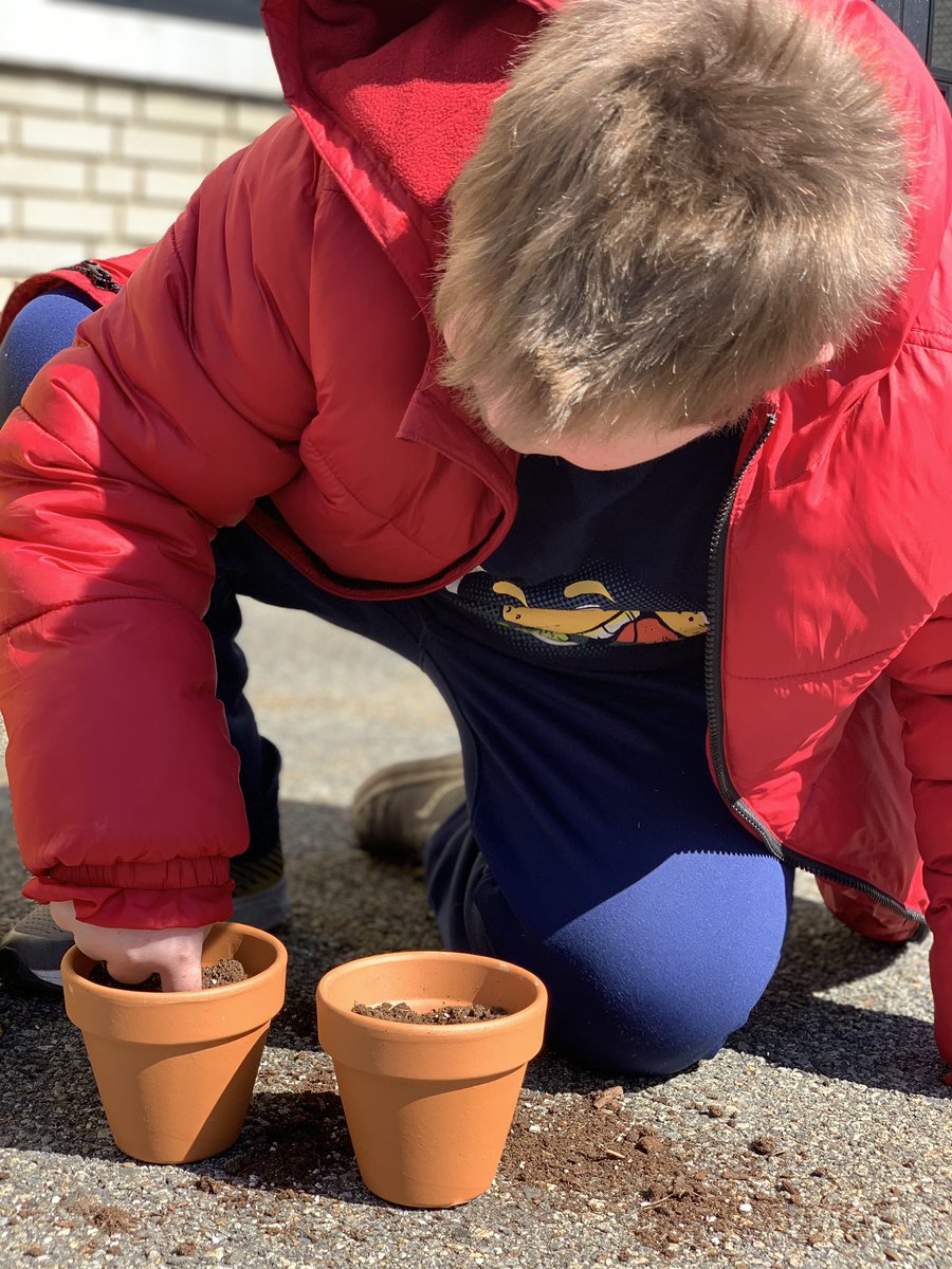 Miss_Capolongo tweet media