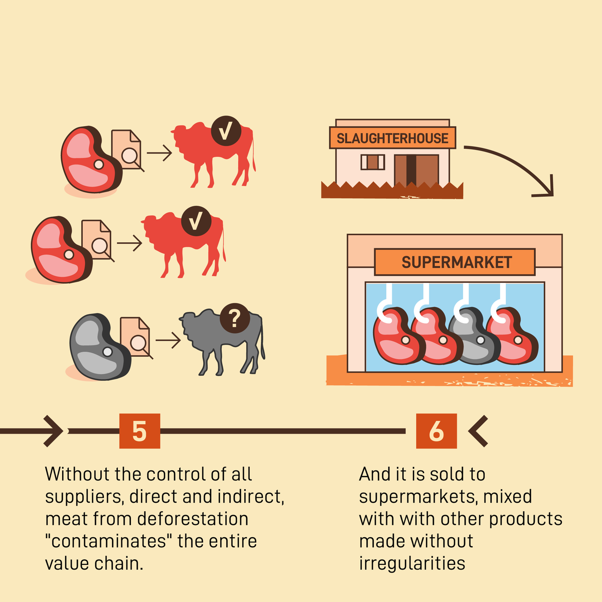 World’s largest meat processor JBS purchased meat from ranchers linked to the fires that consumed 30% of Pantanal, Brazil last year. JBS sells meat to food giants such as McDonald’s and Burger King. 

Here’s how meat tainted with deforestation gets to your plate: