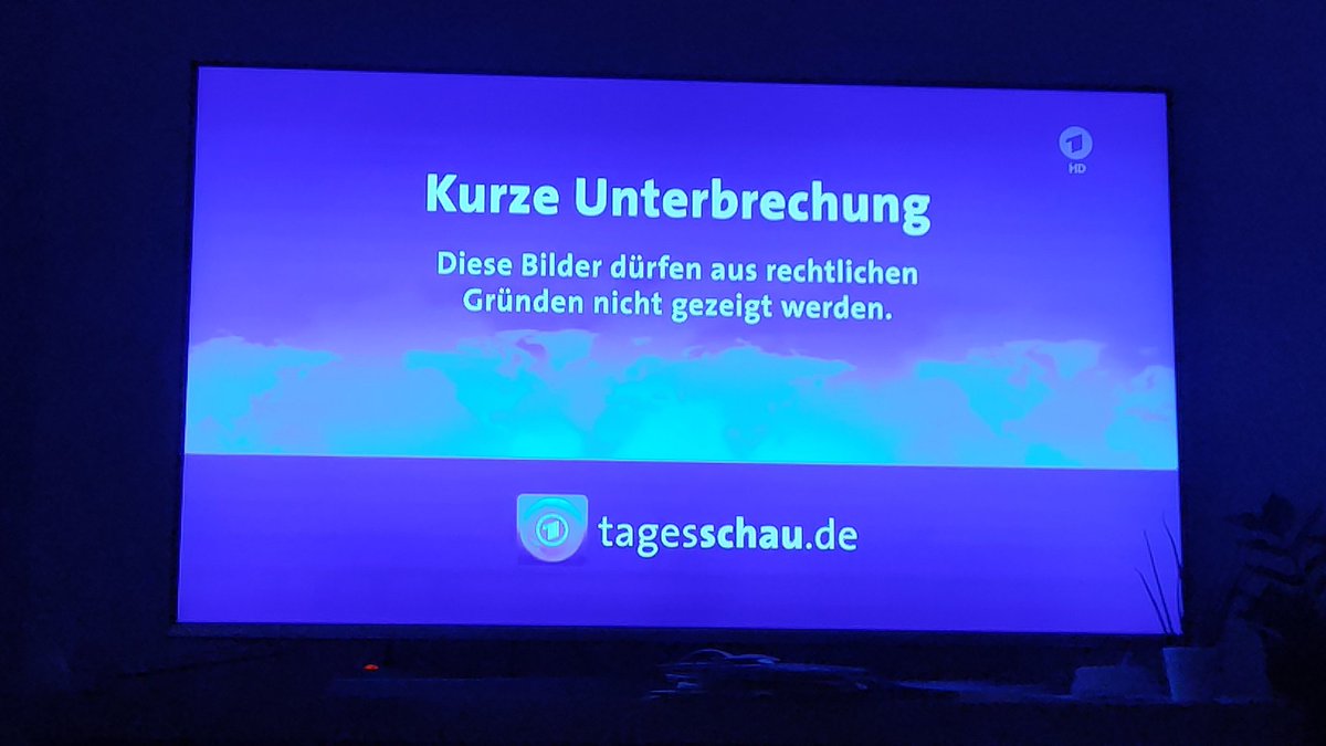 Heute hatte man als Webtagesschauer Doppelpech: Erster Beitrag Löw und die Fußballszenen wenig spannend. <a href="/tagesschau/">tagesschau</a>