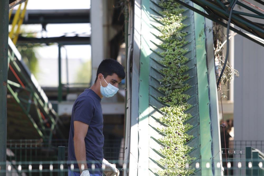 Las organizaciones agrarias ven con optimismo y cautela la suspensión temporal de aranceles dlvr.it/RvJdxd