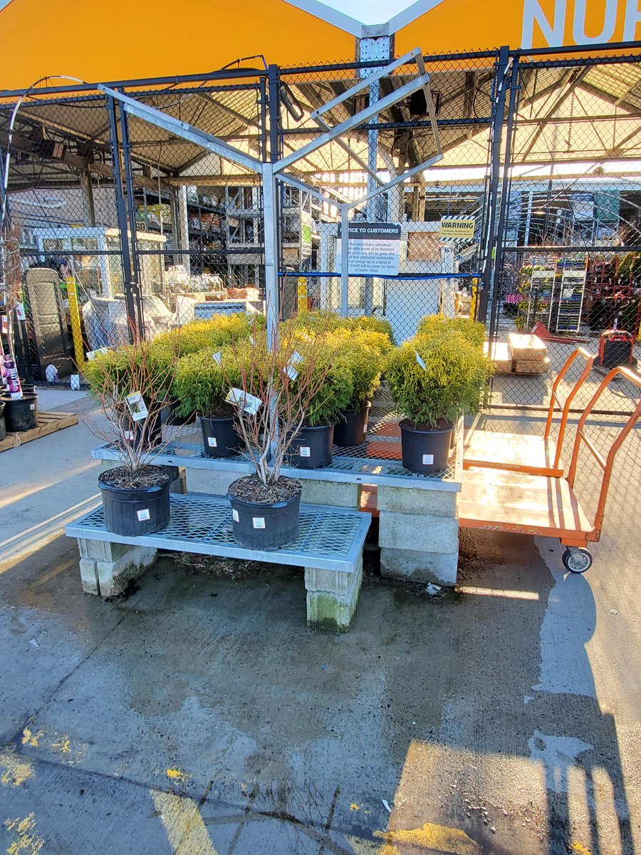 Gerald Coons tweet media