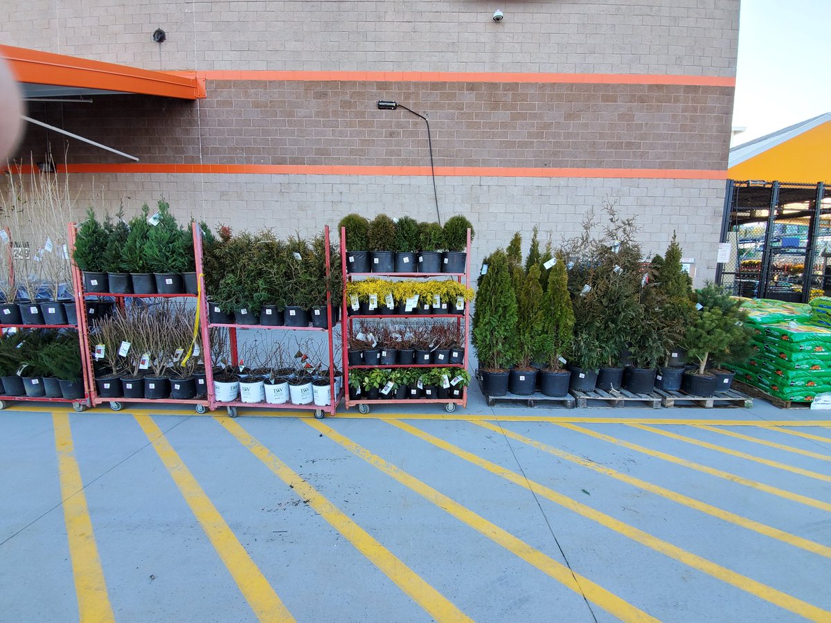 Gerald Coons tweet media