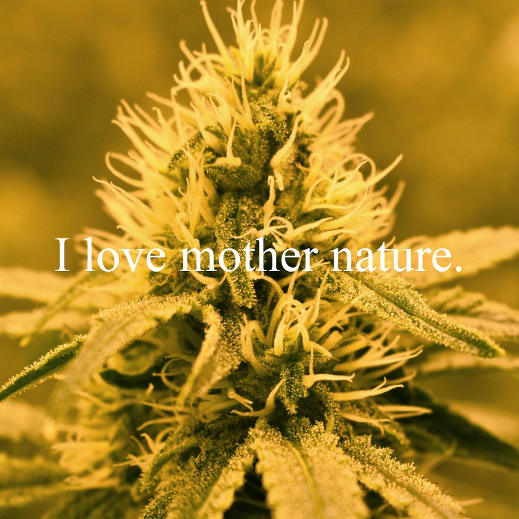 Me, too. 🙏❤️✨🌿 #cannabis #allnatural