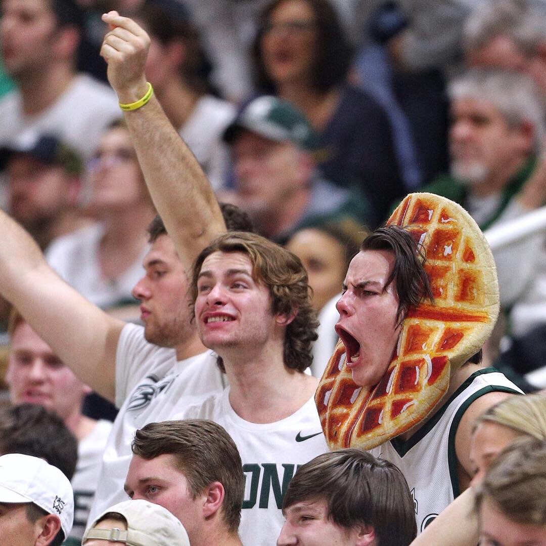 the_WaffleGuy22's tweet photo. 2 years ago, I found out either people loved or hated waffles😂 Who knows...might see him pop up again over the next few weeks🤷‍♂️ https://t.co/zXYqepfYvy