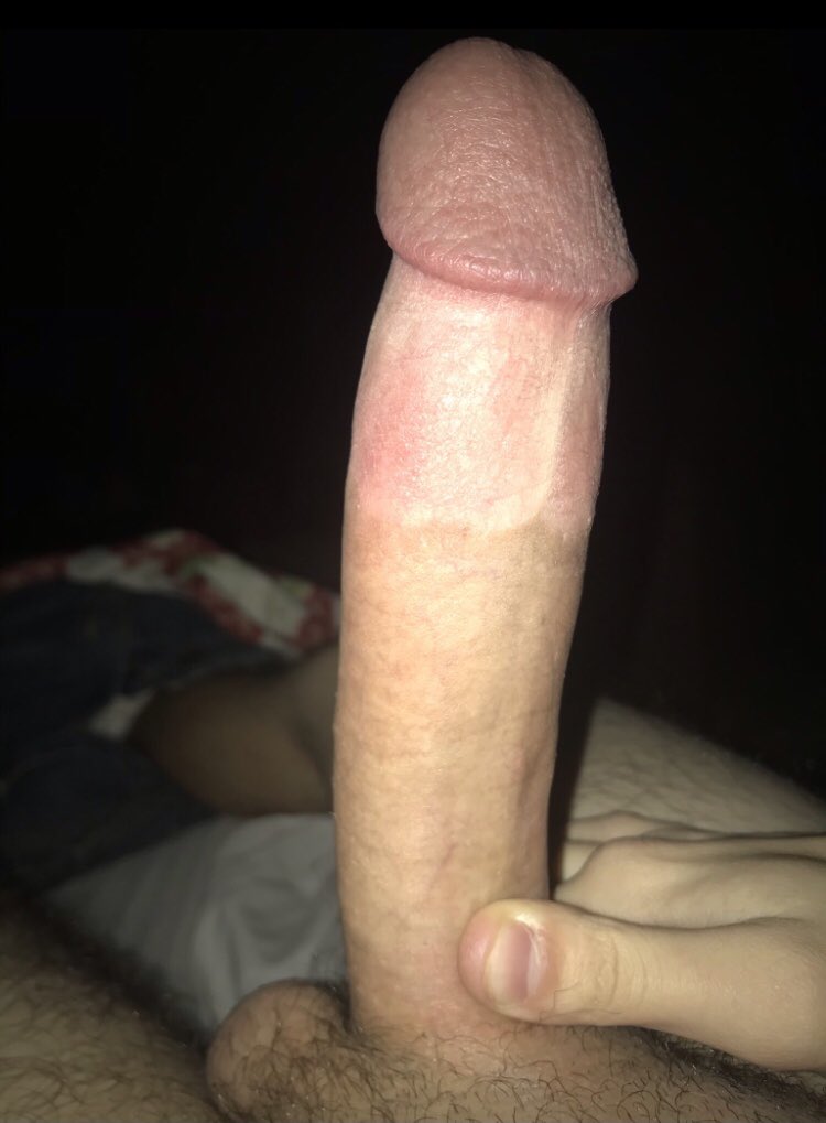 animeaddict126's tweet photo. Soooo horny 🥺🥺🥺🥺 someone please come over and let me pound them till I cum deep inside of you 😩😩😩😩 #horny #hornyasf #hornyasfuck #bigdick #bigcock #bigthrobbingcock #fuck #letshavefun #ballsdeep #pounding #ohio #struthers #struthersohio #mahoning #mahoningcounty https://t.co/kPNn3mT7SY