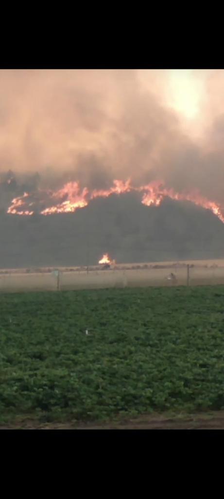 Se nos quema la Patagonia,  Cholila, El Hoyo, Maiten, Radal y Las Golondrinas en llamas. El incendio cada vez más cerca del pueblo. Por favor difundir 🙏🏼 #PatagoniaBajoFuego #SalvemosLaPatagonia #ChubutBajoFuego 
<a href="/alferdez/">Alberto Fernández</a> <a href="/arcionimariano/">Mariano Arcioni</a> dónde están?