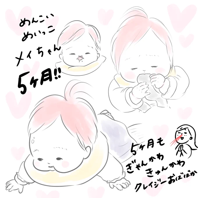 今月もクレイジーおばバカ絶好調です。
こんなかわいい生き物いたらそら狂うわな〜? 