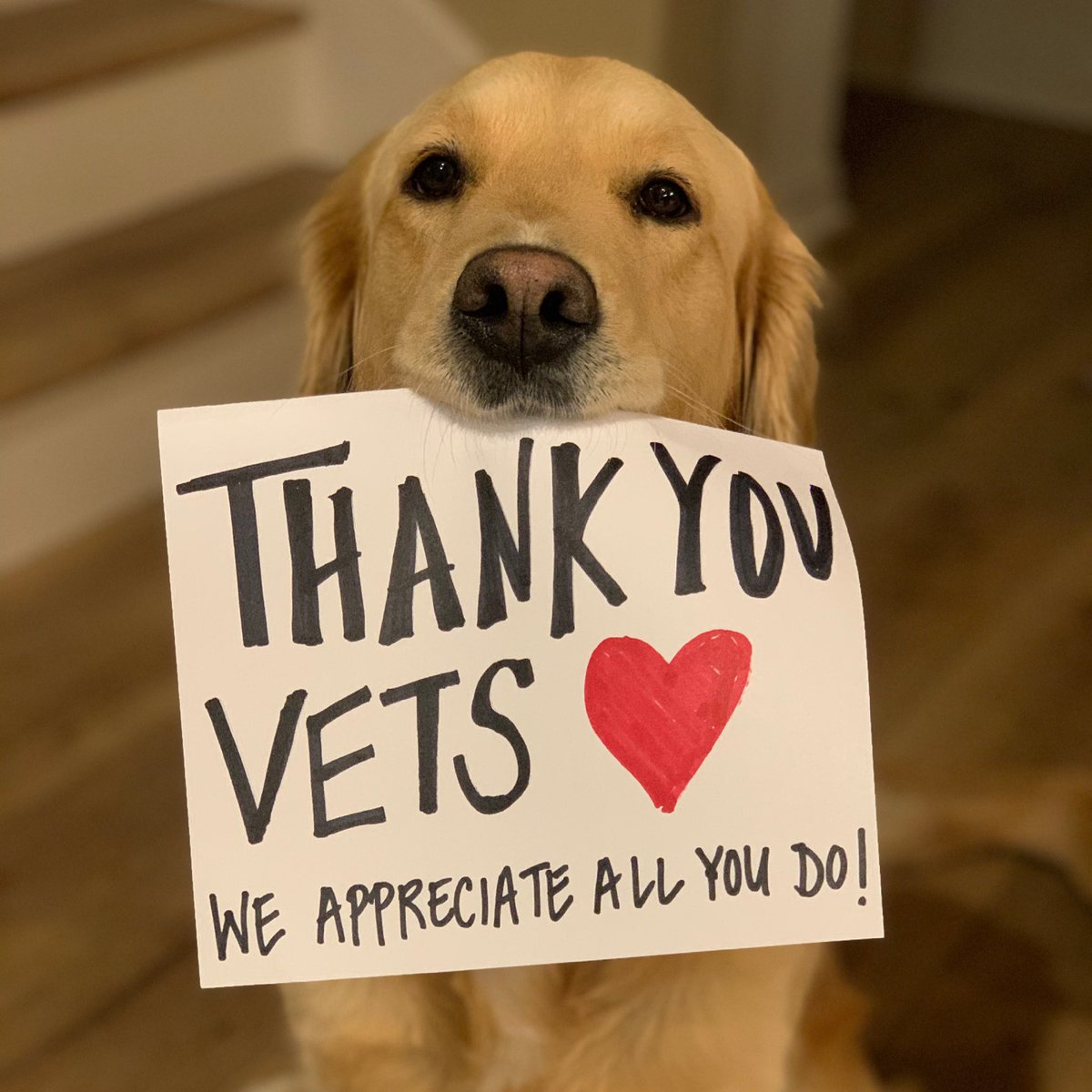 Anna Bates tweet media