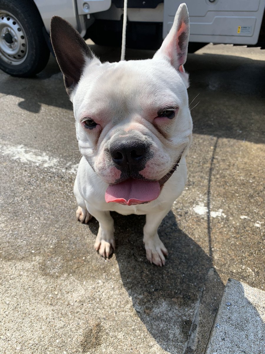 タグ 佐世保市 の注目ツイート メガとんトラック