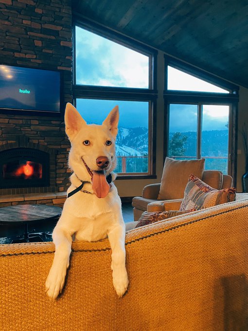 Happy to be back in Big Bear 🥺 https://t.co/6CTghmMQ5z